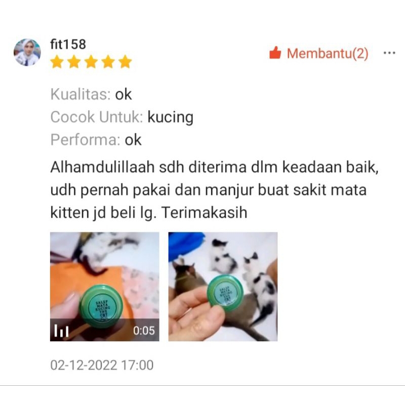 READY obat mata kucing clamidia - salep mata kucing dan anjing