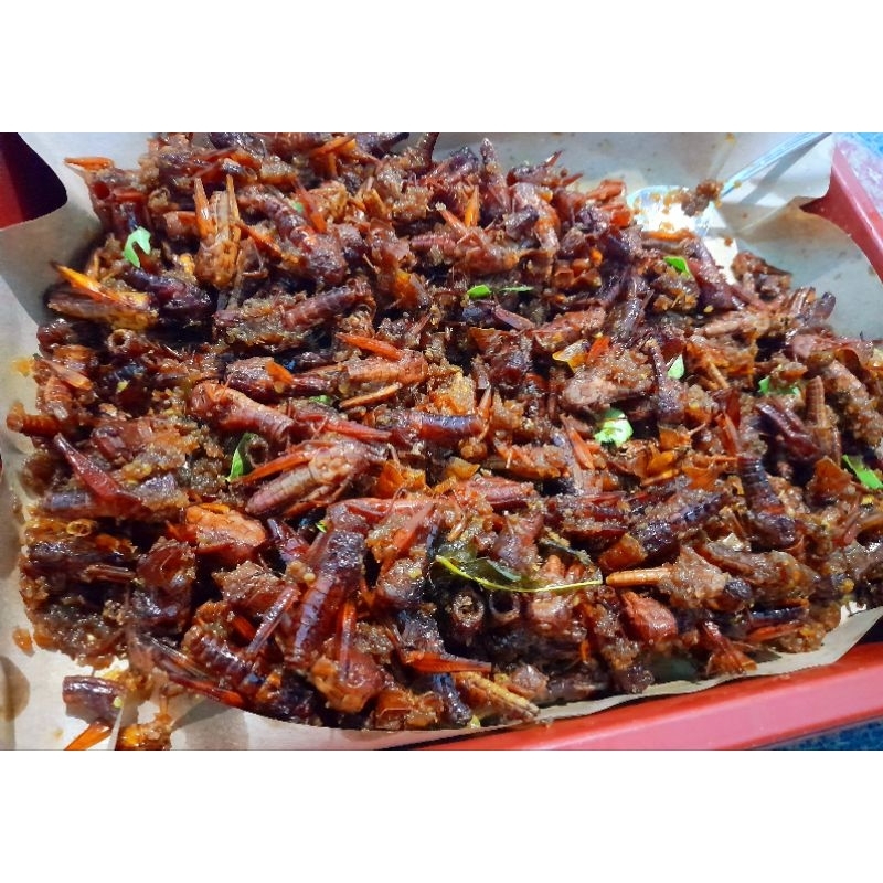 

Belalang Goreng