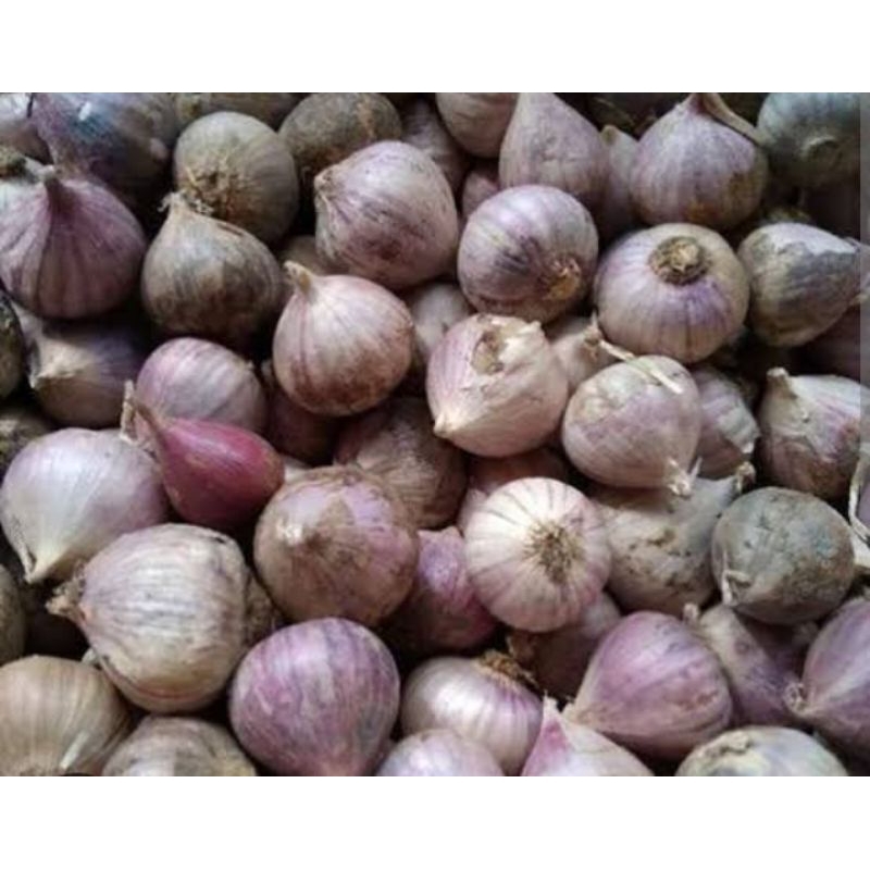 

Bawang Putih Tunggal 100 gr Sayur Segar Palembang
