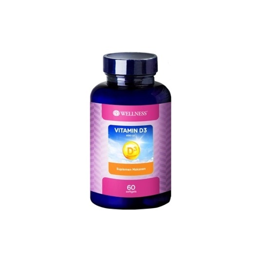 WELLNESS VIT. D3 400I.U. 60`S