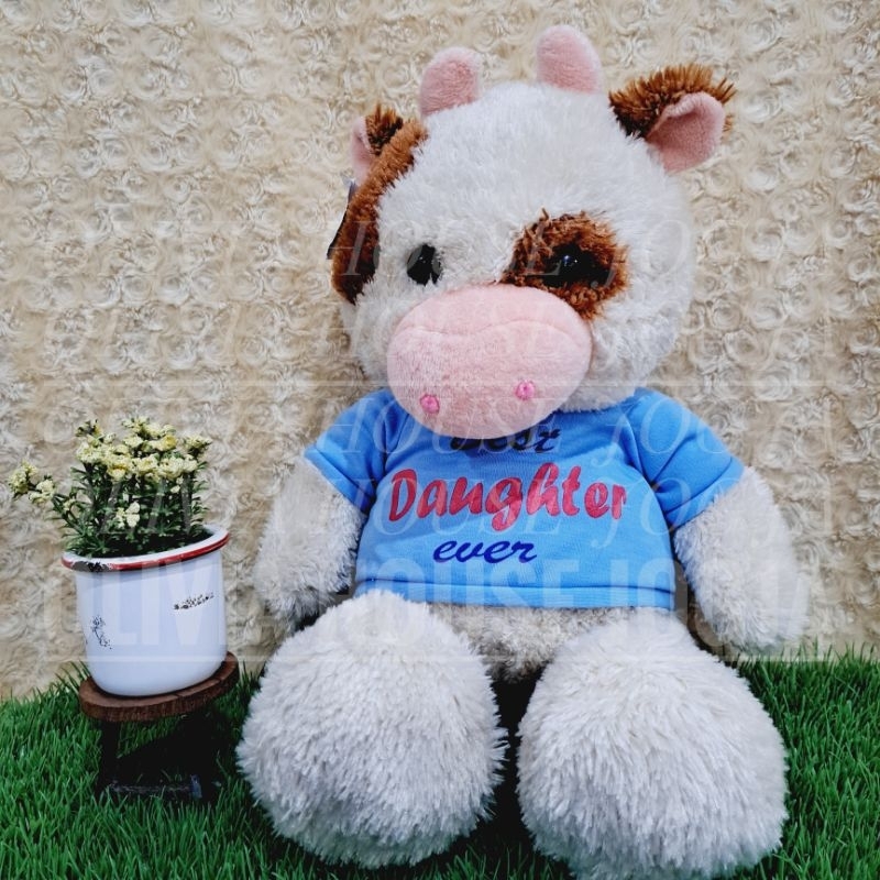 Boneka Sapi Putih Boneka Sapi Baju Biru Boneka Sapi Tanduk Pink