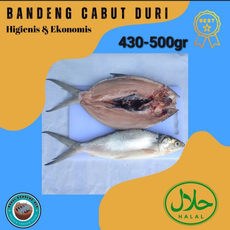 

Ikan Bandeng Cabut Duri (450gr) PREMIUM | TERMURAH