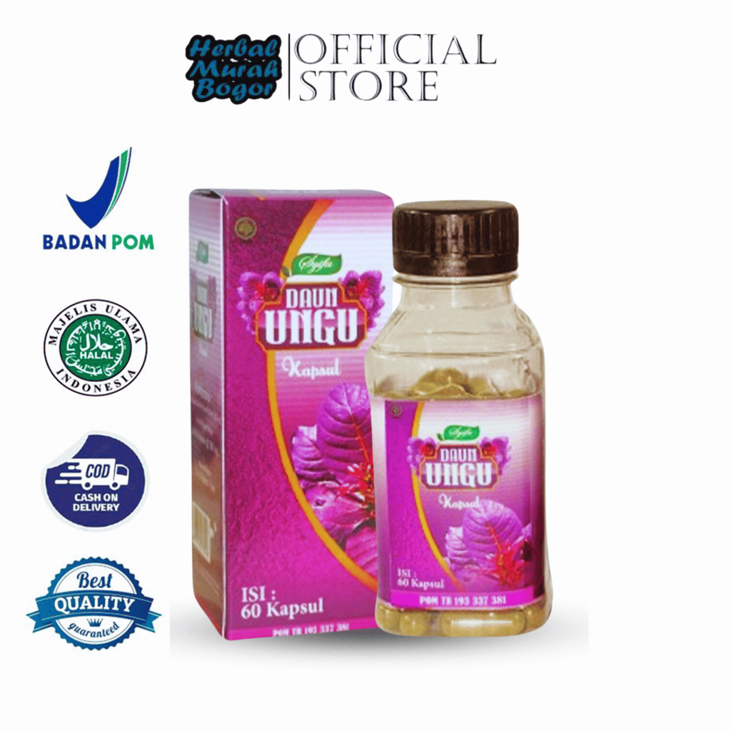 KAPSUL EKSTRAK DAUN UNGU 60 KAPSUL - DAUN UNGU SYIFA ORIGINAL/DAUN UNGU/WASIR