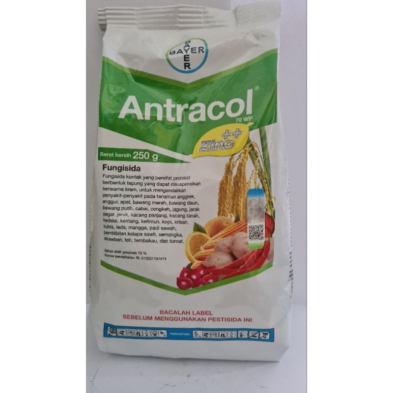 ANTRACOL 70WP 250 GRAM