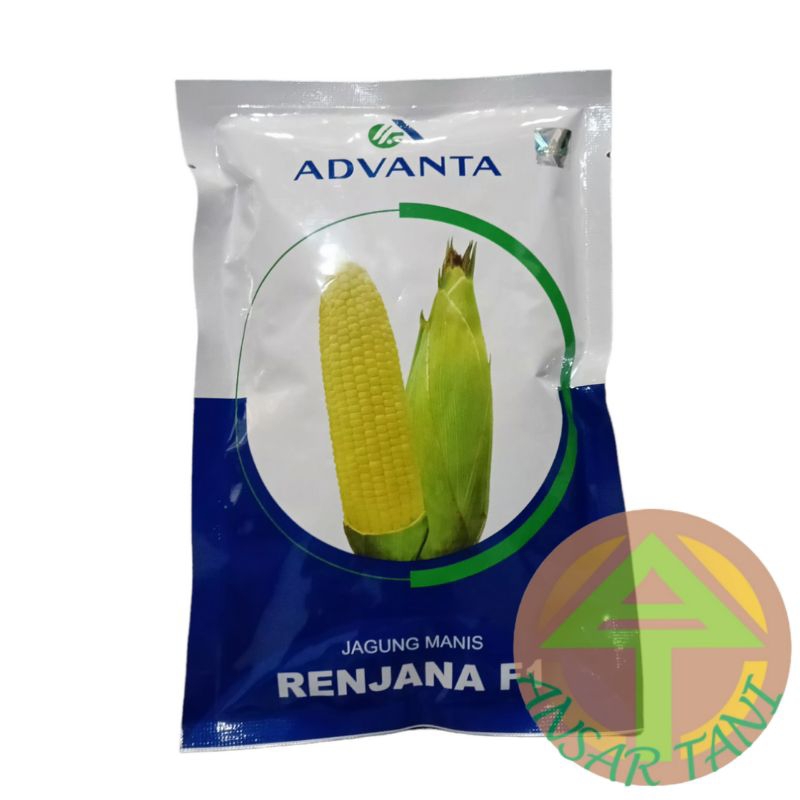 

Jagung manis RENJANA F1 (isi 250 gram) ADVANTA