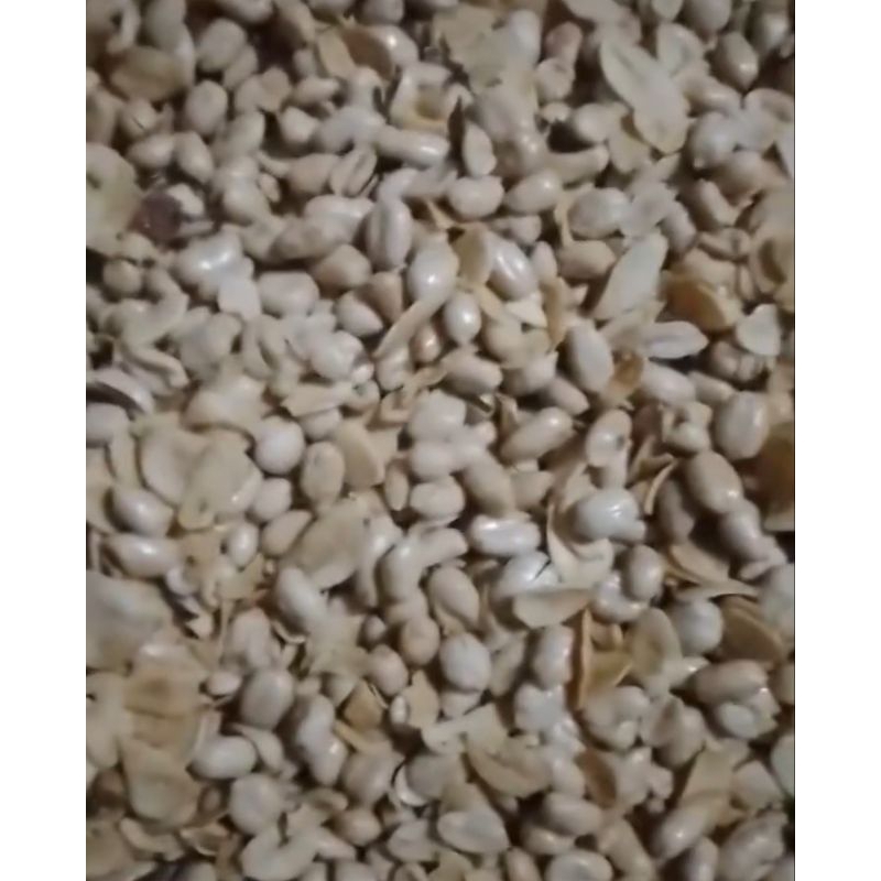 

kacang bawang