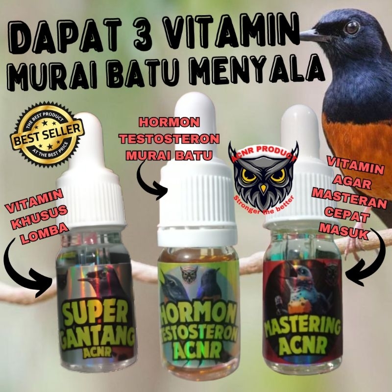 VITAMIN BURUNG MURAI BATU HORMON TESTOSTERON MURAI BATU VITAMIN MURAI BATU