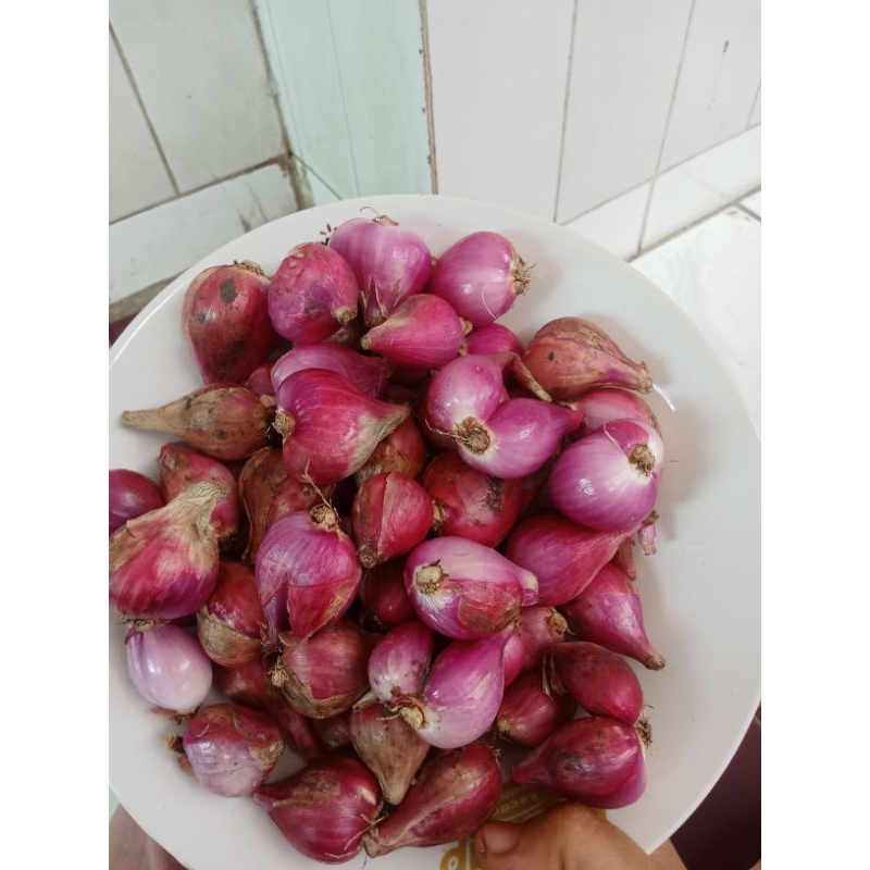 

Bawang merah brebes HARGA PROMO 1 kg