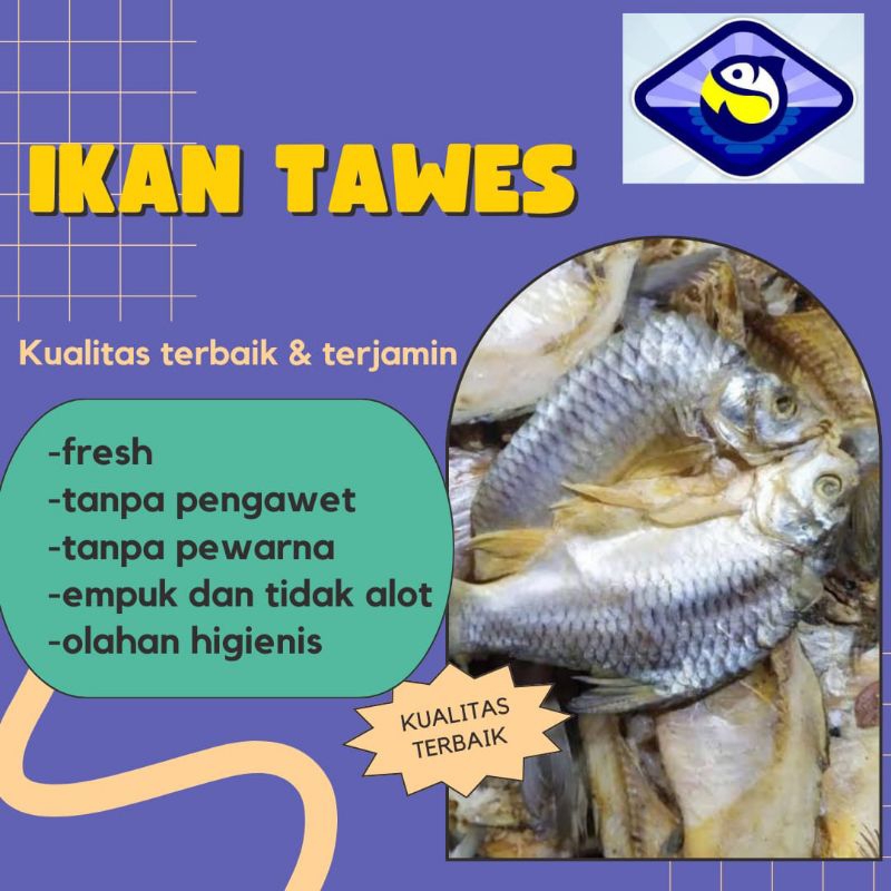 

Ikan Asin Tawes Belah Berat 250g 500g 1kg