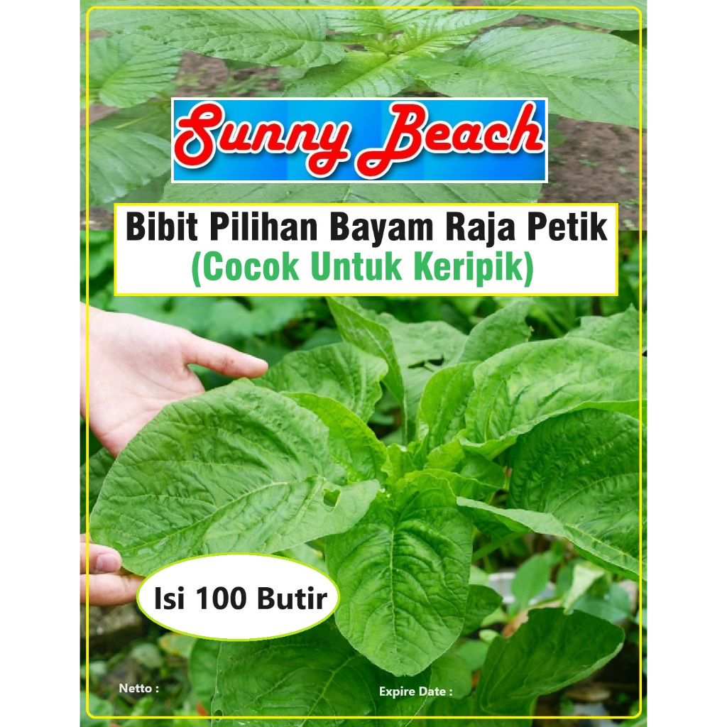 Bibit Pilihan Bayam Raja Petik Cocok Untuk Keripik | Biji Bibit Bayam Petik | Biji Benih Bayam