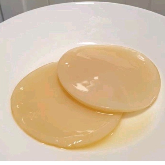 

Bibit Scoby Kombucha Diameter 9 cm plus Starter Asli Original