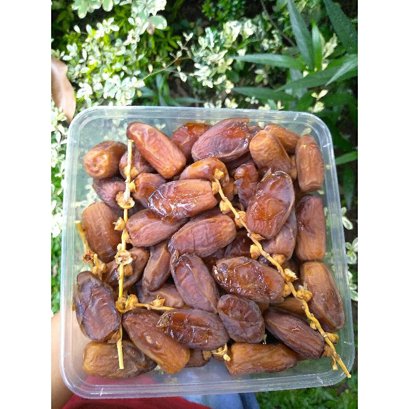 

KURMA TUNIS TANGKAI 1 KG