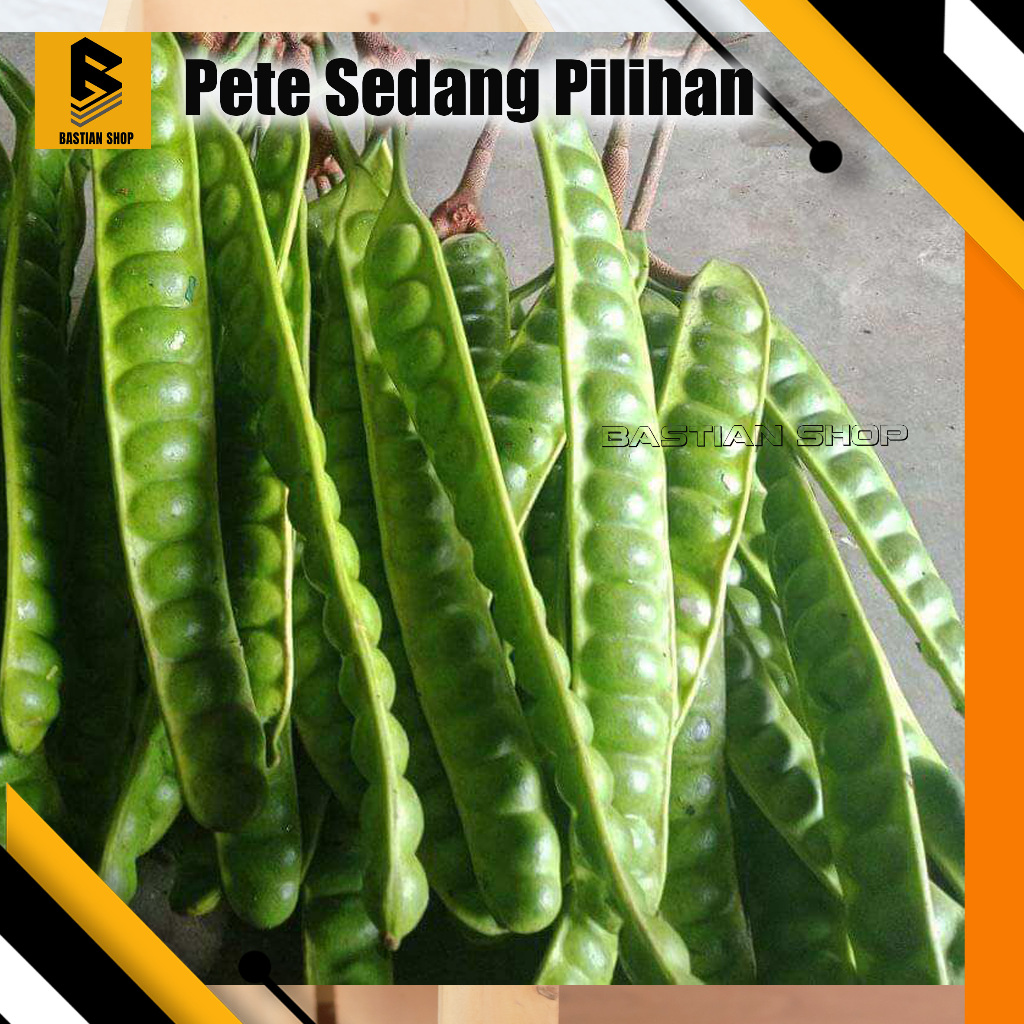 

Pete Sedang Perpapan Pilihan masih fresh dari pohon