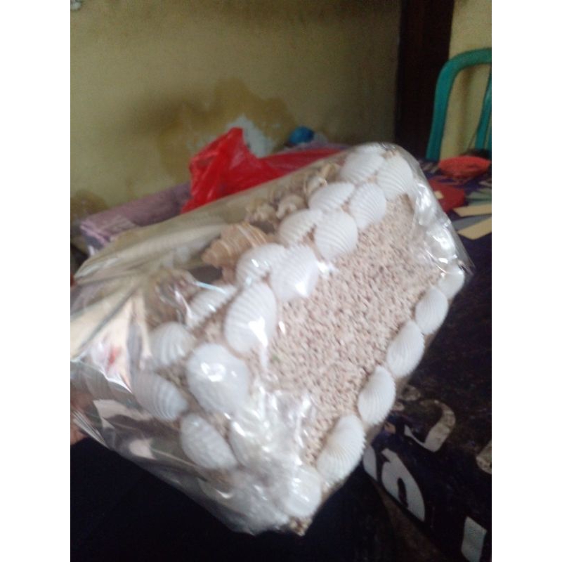 tempat/kotak tisu bahan cangkang kerang kerajinan