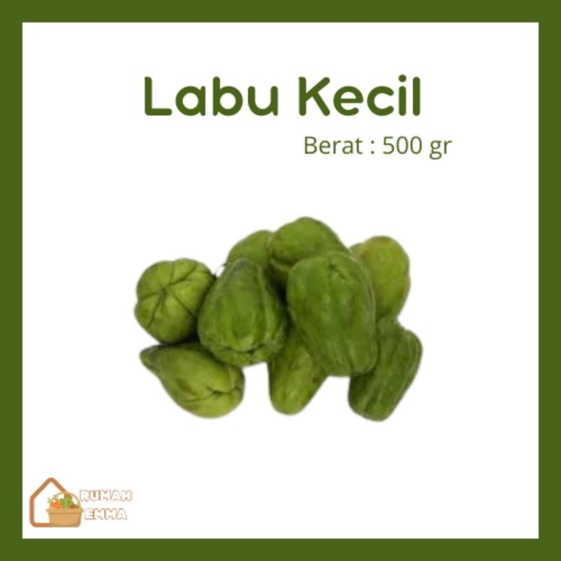 

Sayuran Fresh Labu Kecil 500 gram dikirim Instant khusus bandung