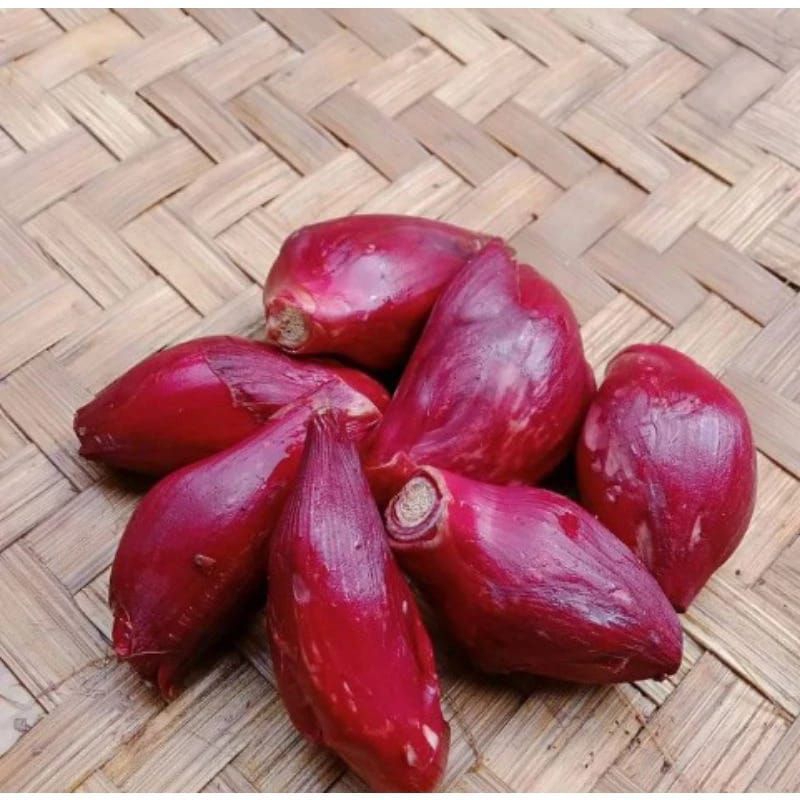 

Bawang Dayak Original Kualiyas Grade A