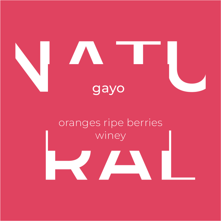 

ACEH GAYO WINE 200Gram - Kopi Gayo, Single Origin, Arabica