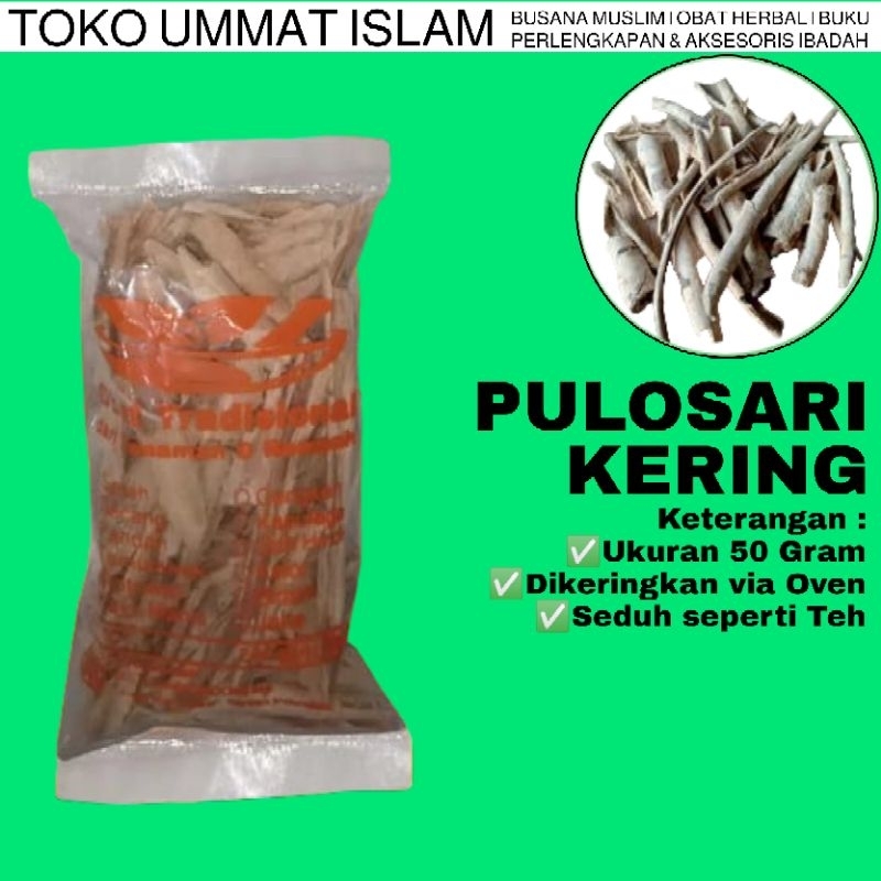 Tanaman Batang Adas / Pulosari Kering isi 50 Gram