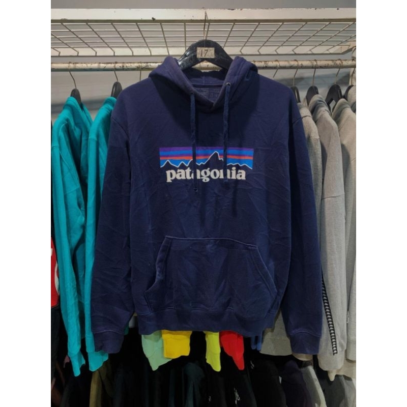 Hoodie Patagonia