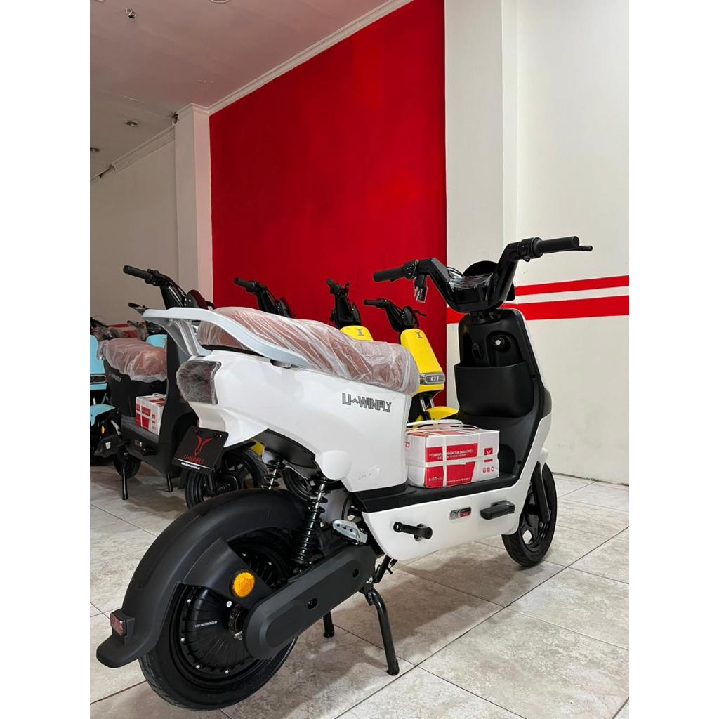 Sepeda Listrik UWinfly D8S
