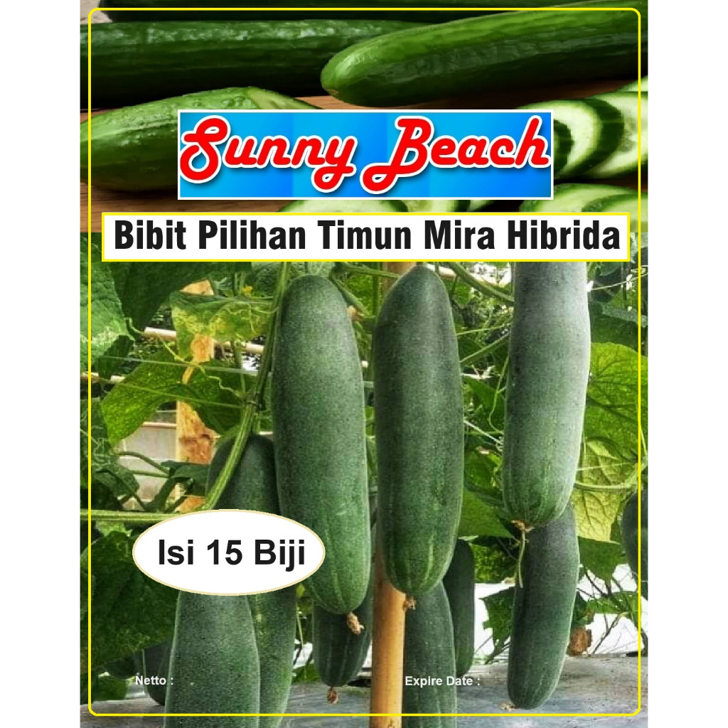 Bibit Unggul Timun Mira Hibrida | Biji Benih Ketimun Mira Hibrida | Bibit Metimun Mira Hibrida