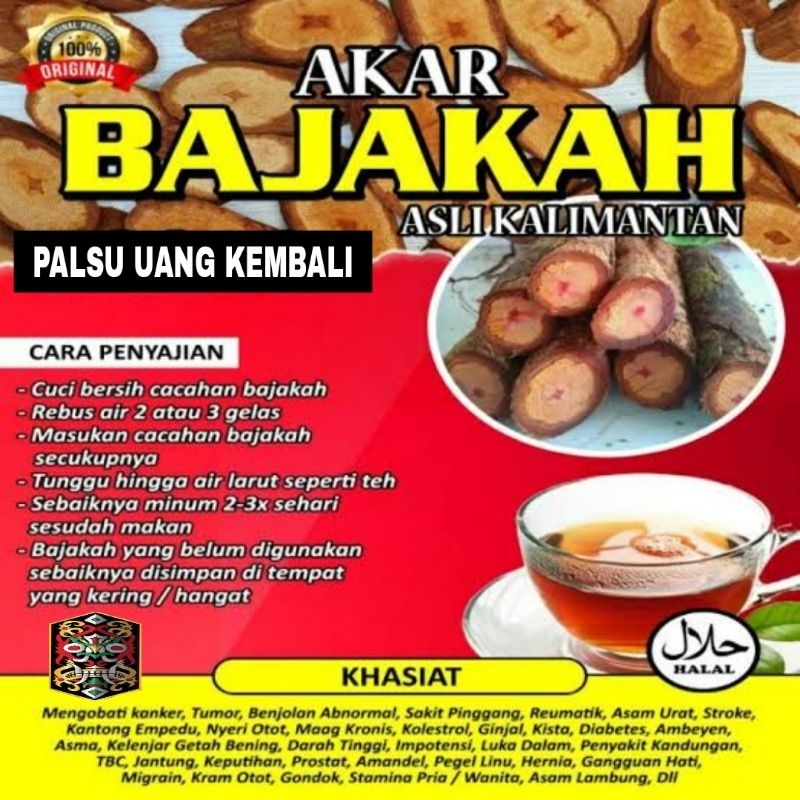 

Akar Bajakah Kalimantan 100% Asli Kayu Bajakah Dayak