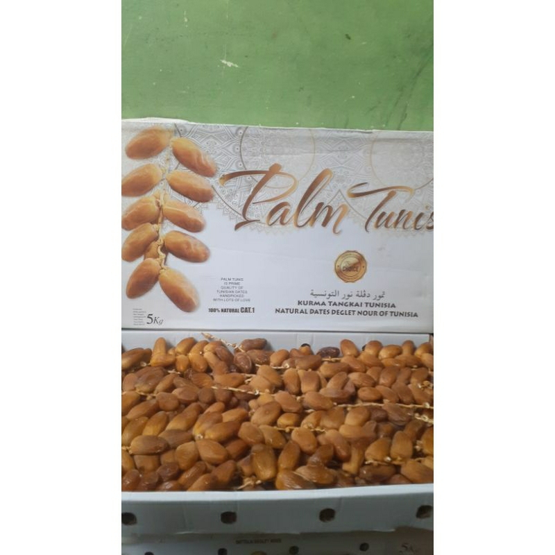 

KURMA TUNISIA TANGKAI