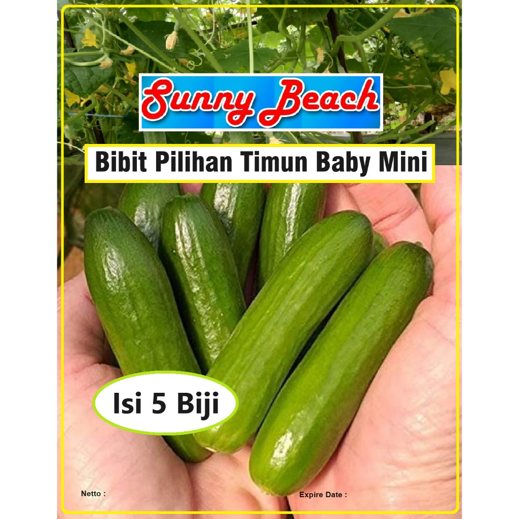Bibit Pilihan Timun Baby Mini | Biji Benih Ketimun Baby Mini| Mentimun