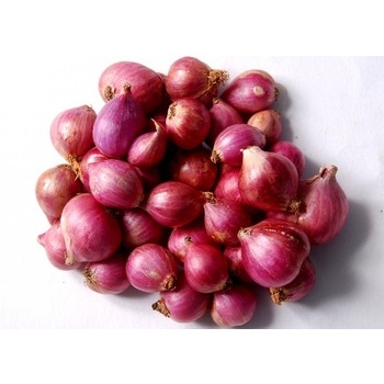 

Bawang Merah 1kg