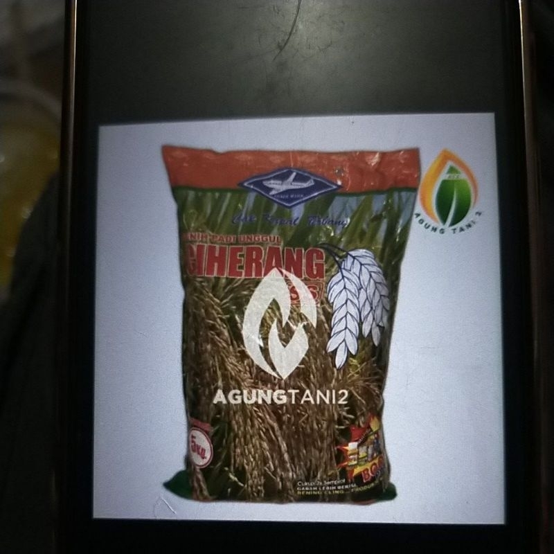 benih padi Ciherang cap kapal terbang 5kg