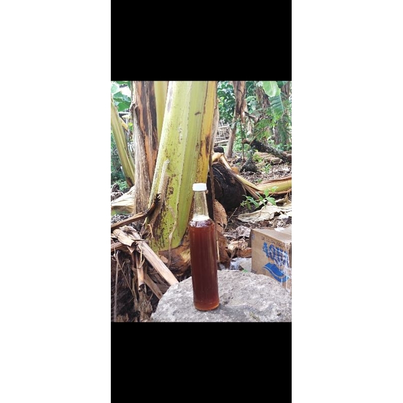 

Madu Murni Asli Nektar Alam