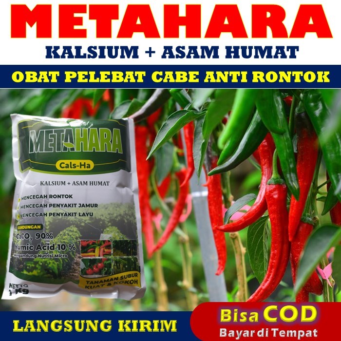 PROMO COD MURAH Pupuk Pelebat Buah Cabe Anti Rontok Bunga dan Buah Cabe Paling AMPUH 1 KG METAHARA O