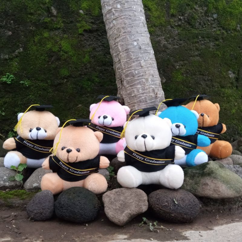 BONEKA WISUDA BEAR MINI / boneka wisuda mini