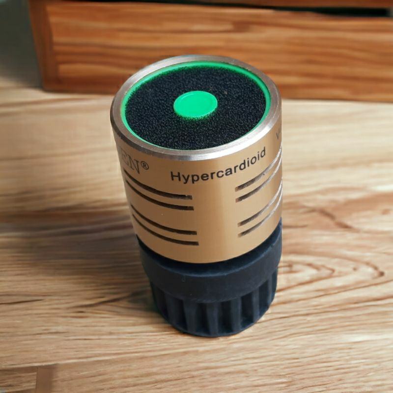 SPOOL SPUL MIC RAYDEN V609 DYNAMIC MIC VOCAL KABEL / WIRELESS ORIGINAL