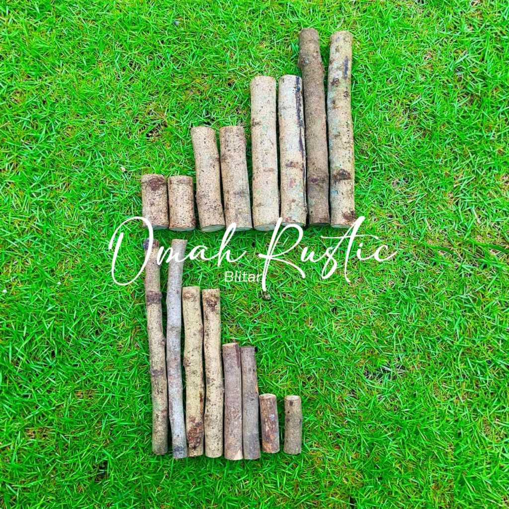 (MURAH) LONG WOODSLICE/ POTONGAN KAYU/ HIASAN KAYU/ KAYU KERING/ HIASAN PIGORA