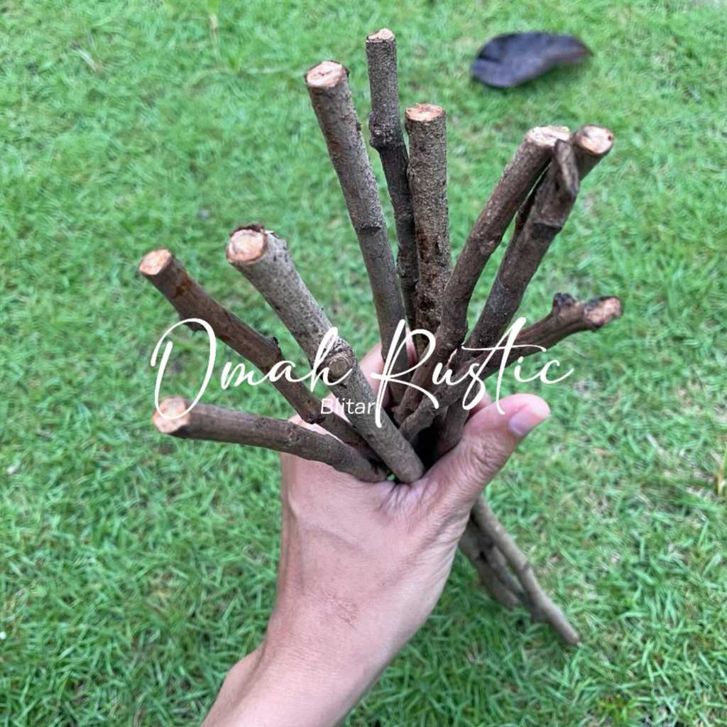 RANTING KERING/ PROPERTY FOTO/ KAYU KERING/ HIASAN FOTO/ DEKORASI RUANG/ AKSESORIS FOTO