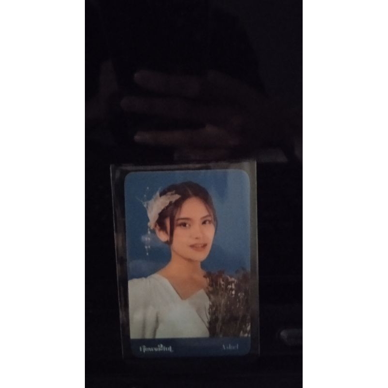 photocard jkt48 ashel flowerful