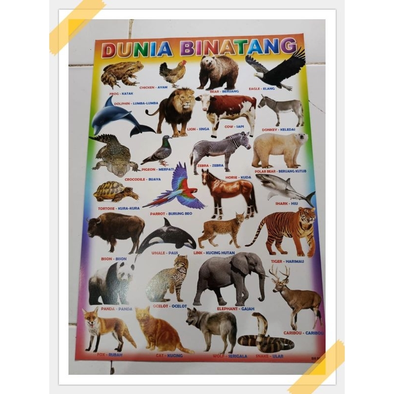 Poster Dunia Binatang