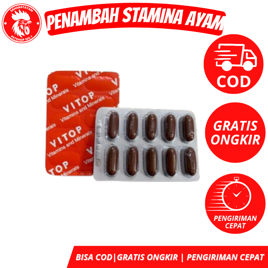 Vitop 1 STRIP Obat Ayam Vitop Vitamin Ayam Vitop Multifitamin Ayam Bangkok