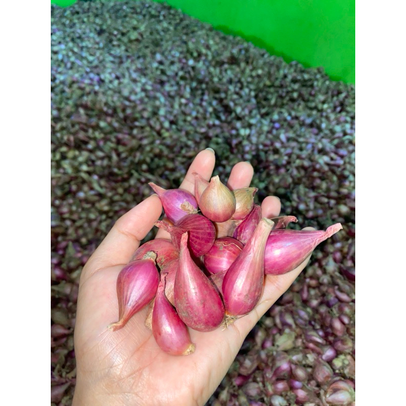 

Bawang merah brebes 500 gr