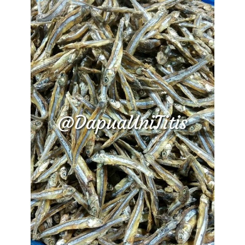 

Maco Bada Lubuak PREMIUM/ikan asin - Berat 100gr