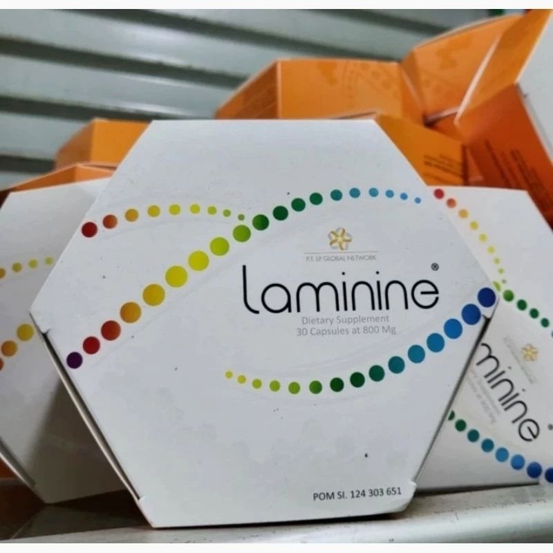 laminine stemcell laminine stem Cell isi 30kapsul