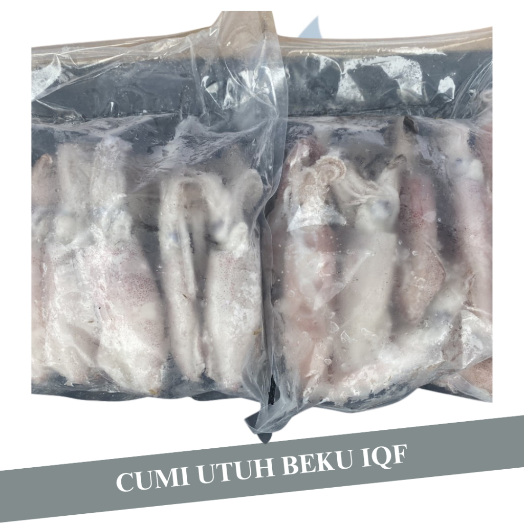 

Cumi Utuh Beku Iqf / Cumi Frozen Utuh / Cumi Size 8 - 10 / 1 KG