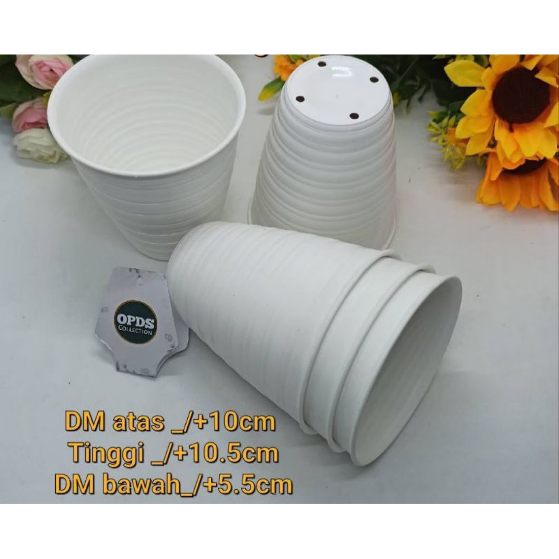 Pot Tawon Tirus 10 cm Vas Bunga Hidup Ada Lubang Pot Bunga Plastik Vas Bunga
