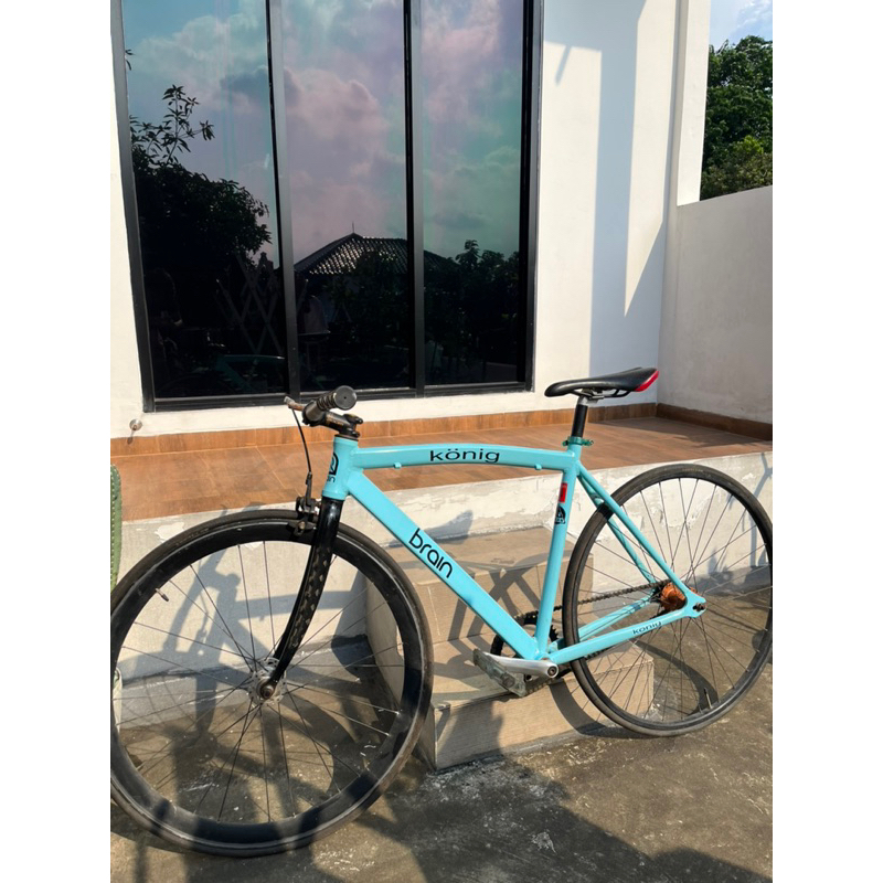 Fixie Konig brain