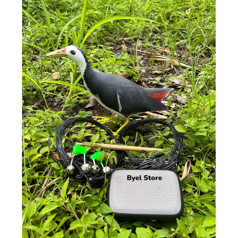 Paket Komplit Patung Ruak Ruak Kareo Sawah + MP3 + Jerat Racik Gantung + lonceng
