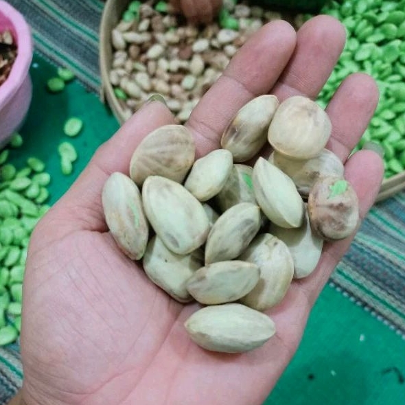 

1kg Pete/petai kupas masak/matang pohon masih ada kulit ari