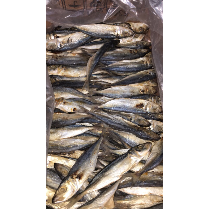 

pindang kering besar berat 1 kg