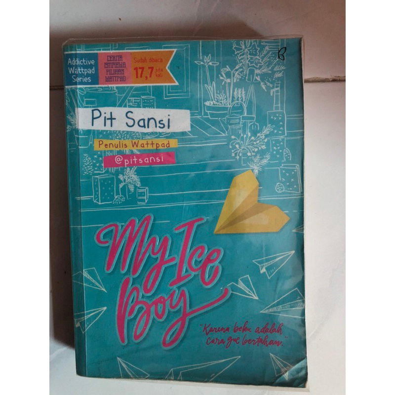 novel my ice boy