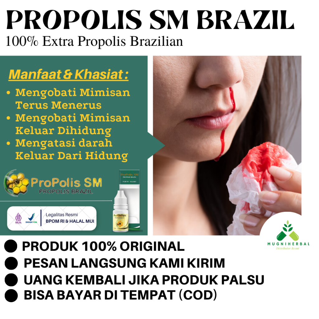 Propolis SM - Obat Sering Mimisan, Mimisan Menahun, Hidung Keluar Darah, Panas Dalam, Sinusitis Kron